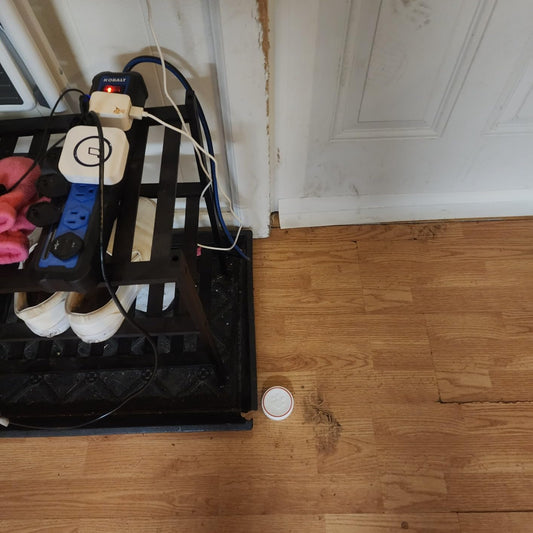 The Ultimate Potty Training Companion: ChunHee Smart Dog Door Bell Review