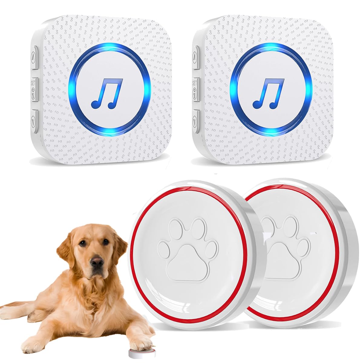 Touch Sensitive Dog Doorbell with Ringtones – ChunHee