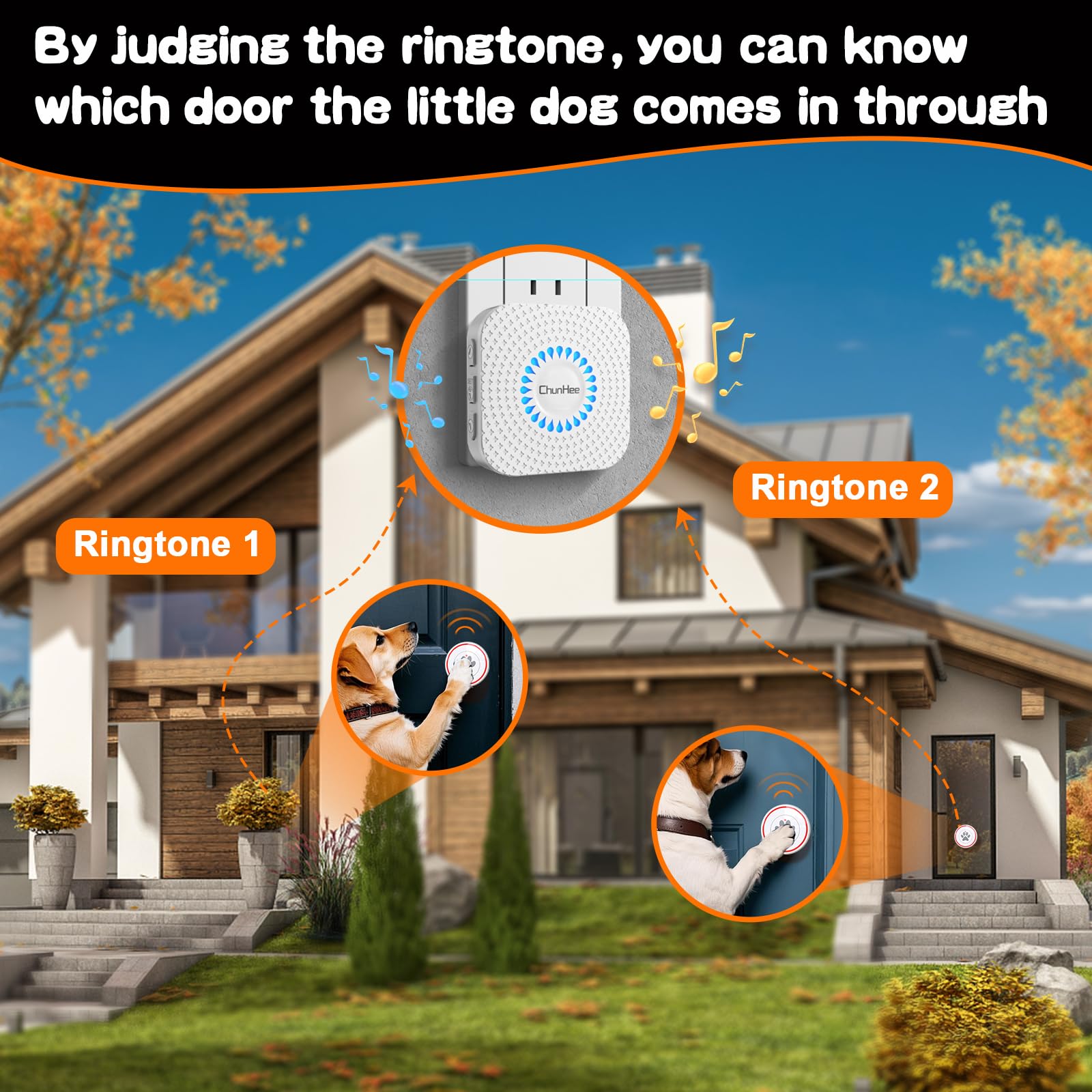 Touch Sensitive Dog Doorbell with Ringtones – ChunHee